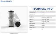 R122G10C