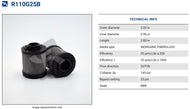 R110G25B