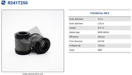 R241T250