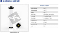 RHR165G10B3/AB1